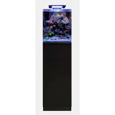 Blue marine reef 60 aquarium