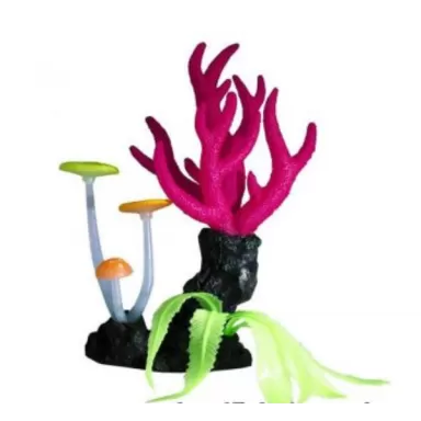 Superfish Fluo Coral roze