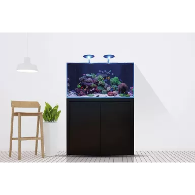 Blue Marine Reef 125 Wit Compleet