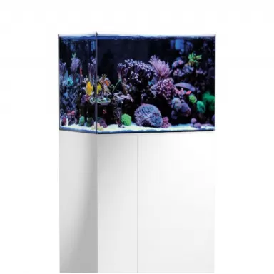 Aqua Medic Armatus 250 white