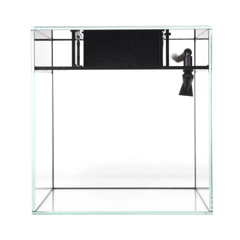 Waterbox Cube 20