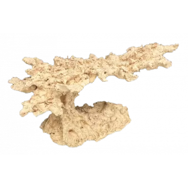 Arka Flying Reef Ceramic 30cm