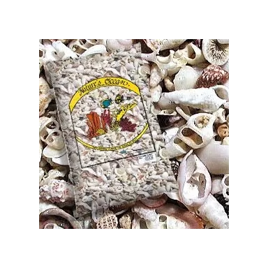 Natures Ocean Hawaiian Puka Shells 6 8kg 3 5 5mm