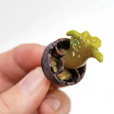 VCA No Glue Frag Mounting System Black