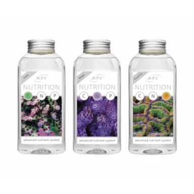 ATI Nutrition C 500ml