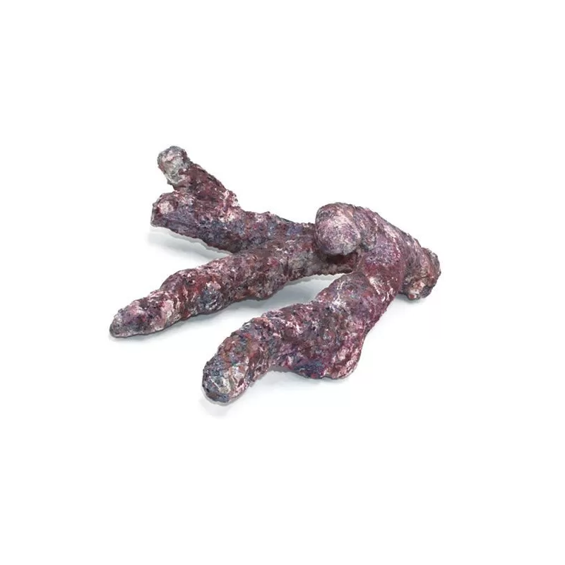 Dutch Reef Rock Bones (Dry) p/kg