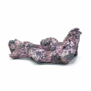 Dutch Reef Rock Bones (Dry) p/kg