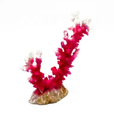 Kunstkoraal Acropora Wit/Roze
