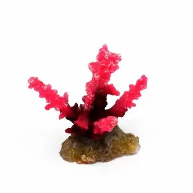Kunstkoraal Acropora Roze 