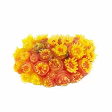 Kunstkoraal Tubastrea Aardbeikoraal