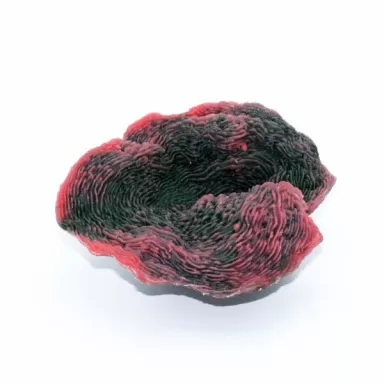 Kunstkoraal Olifantsoor Roze Groen