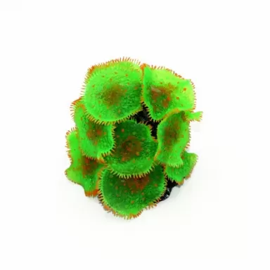 Kunstkoraal Mushroom Groen 