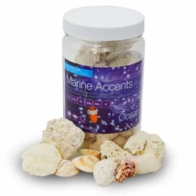 Calcean Marine Accents Ocean 300ml