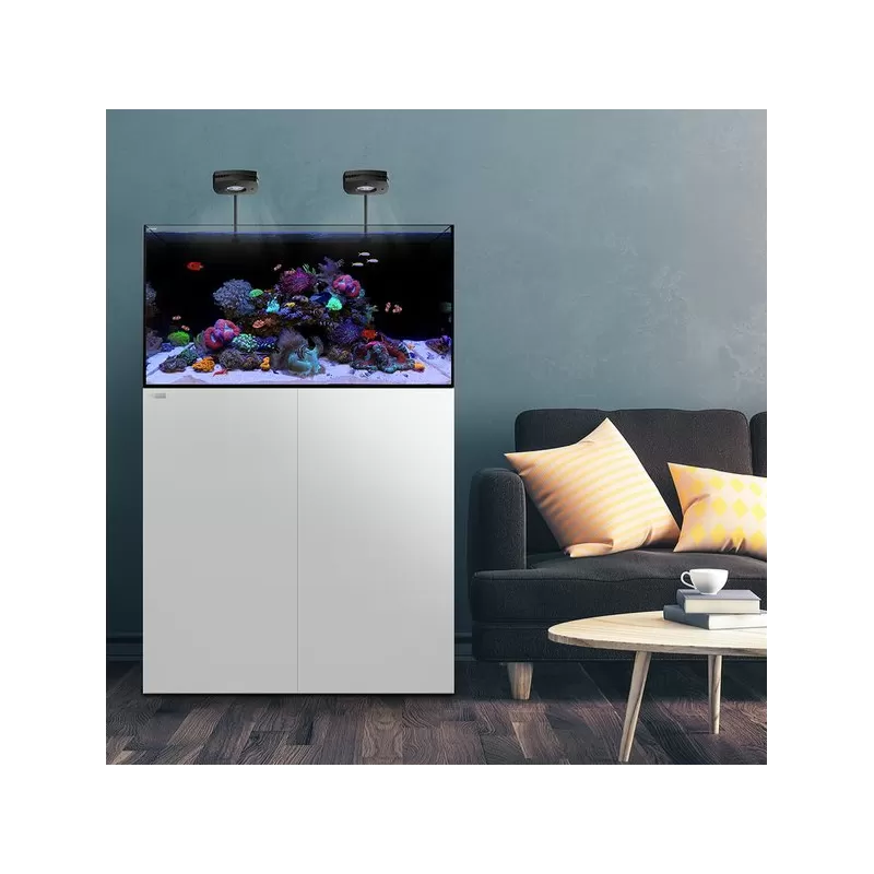 Waterbox All In One 65 4 White