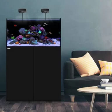 Waterbox All In One 65.4 Black