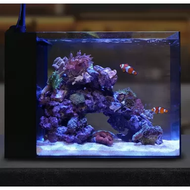 Waterbox Peninsula Mini 25