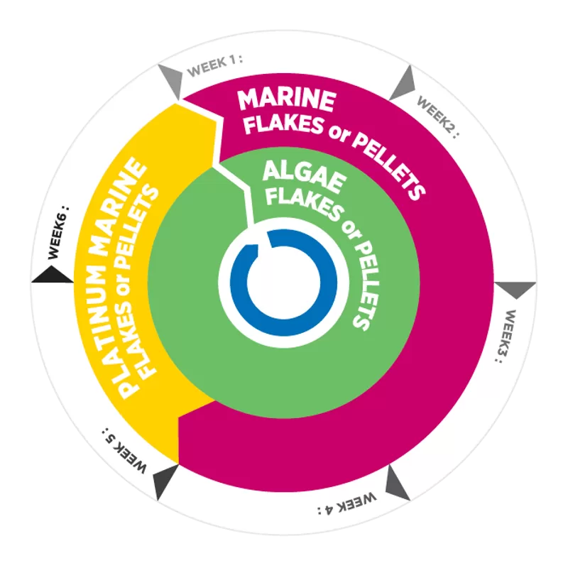Vitalis Platinum Marine Flakes 40g