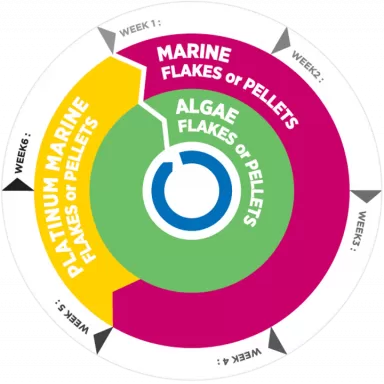 Vitalis Platinum Marine Pellets XS 1mm 70g