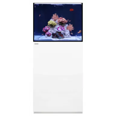 Waterbox Marine X 60.2 White