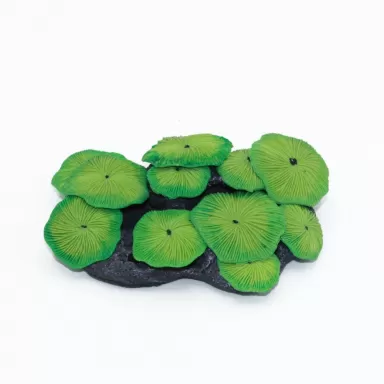 Kunstkoraal mushroom colony groen