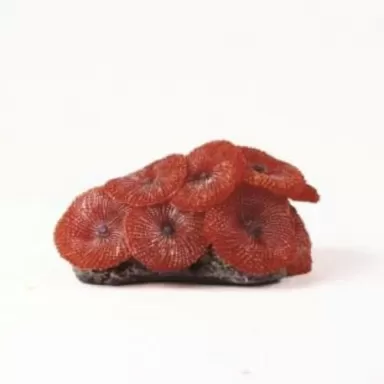 Kunstkoraal discosoma rood 9 5x7 4x4 5