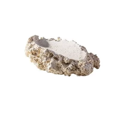 Arka tridacna holder M