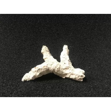 Riffkeramiek Branches 50cm