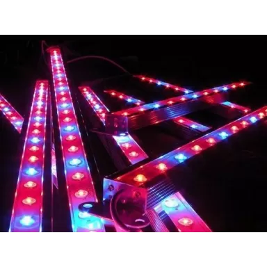 JMB Aqua Led 09W/030CM 1R/1B REFUGIUM REEF