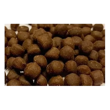 Ocean nutrition coral pellets large 100g