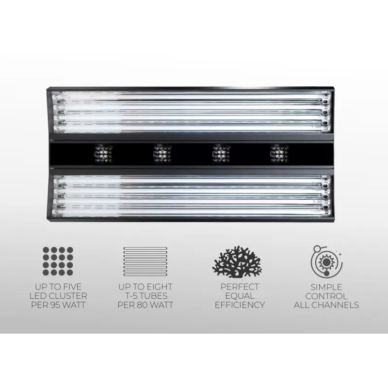 Giesemann Aurora V8 900mm Pure