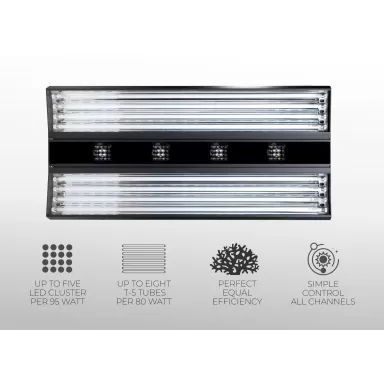 Giesemann Aurora V8 1500mm Irridium