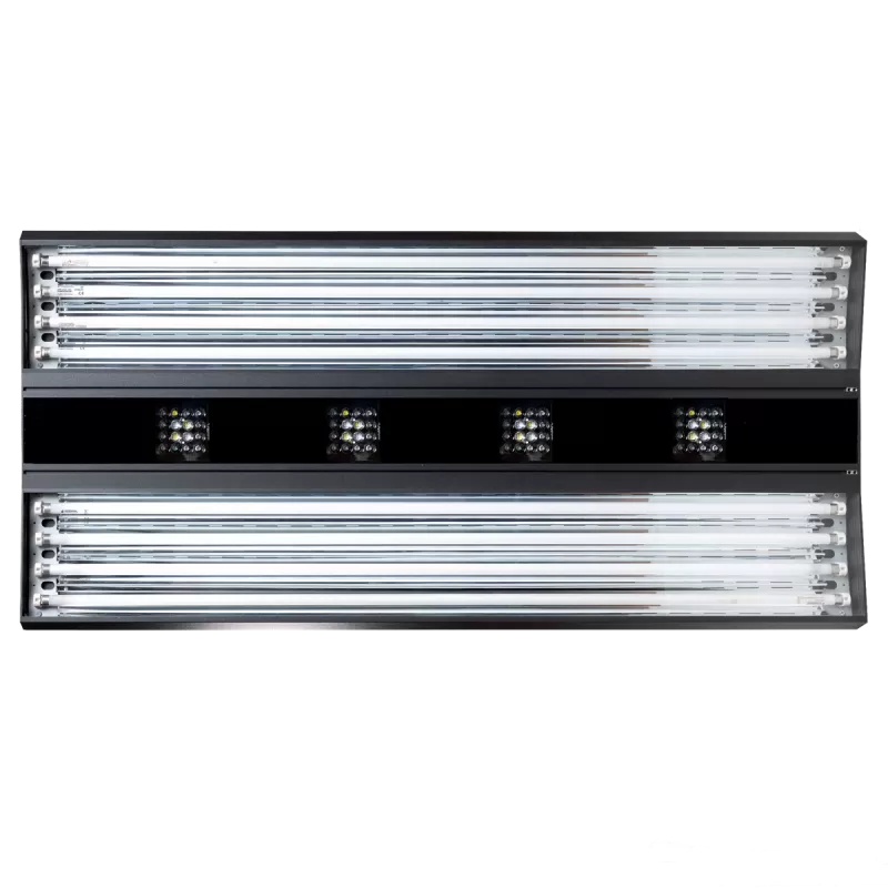 Giesemann Aurora V8 1500mm Irridium