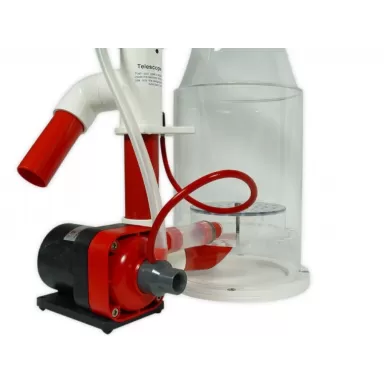 Royal Exclusiv Bubble King DeLuxe 200 Internal RD3 Speedy