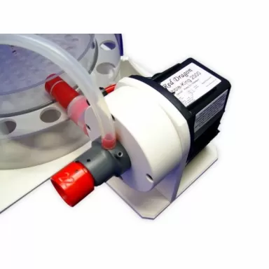 Royal Exclusiv Bubble King DeLuxe 400 Internal