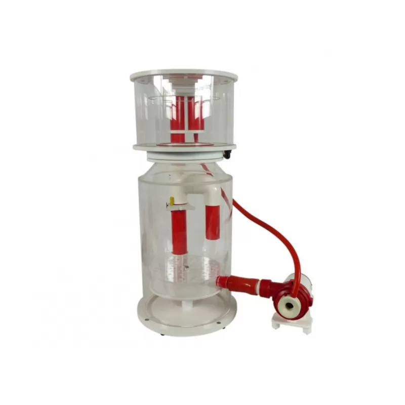 Royal Exclusiv Bubble King Double Cone 250 RDX DC 24V