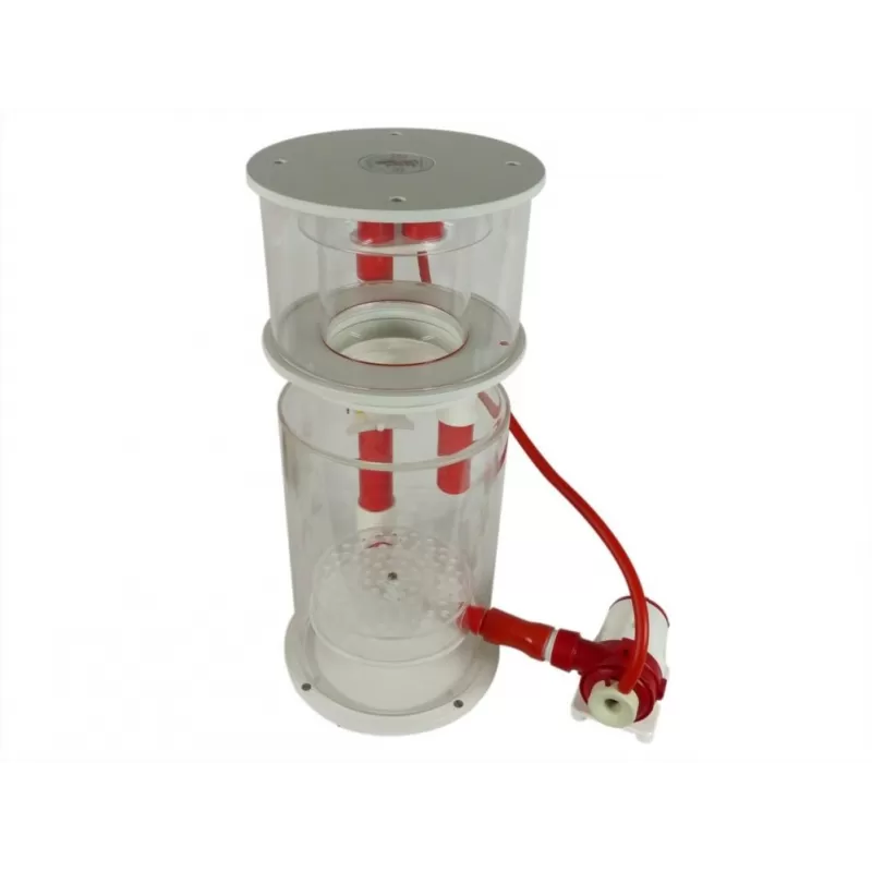 Royal Exclusiv Bubble King Double Cone 250 RDX DC 24V