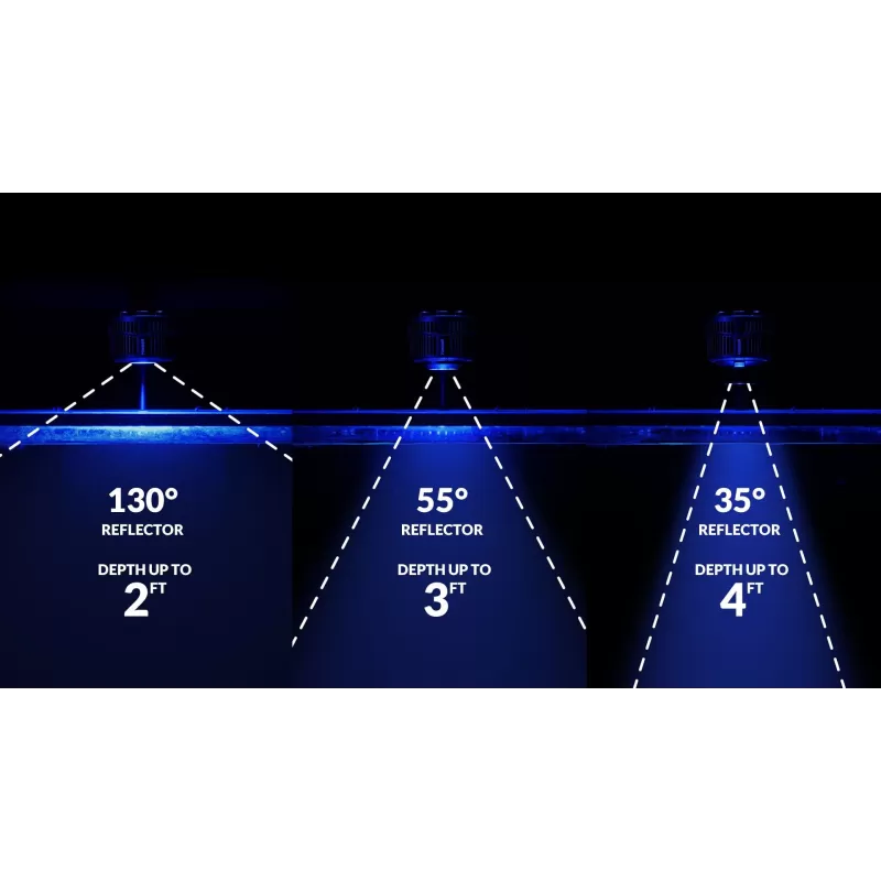 Kessil Led A500X Tuna Blue