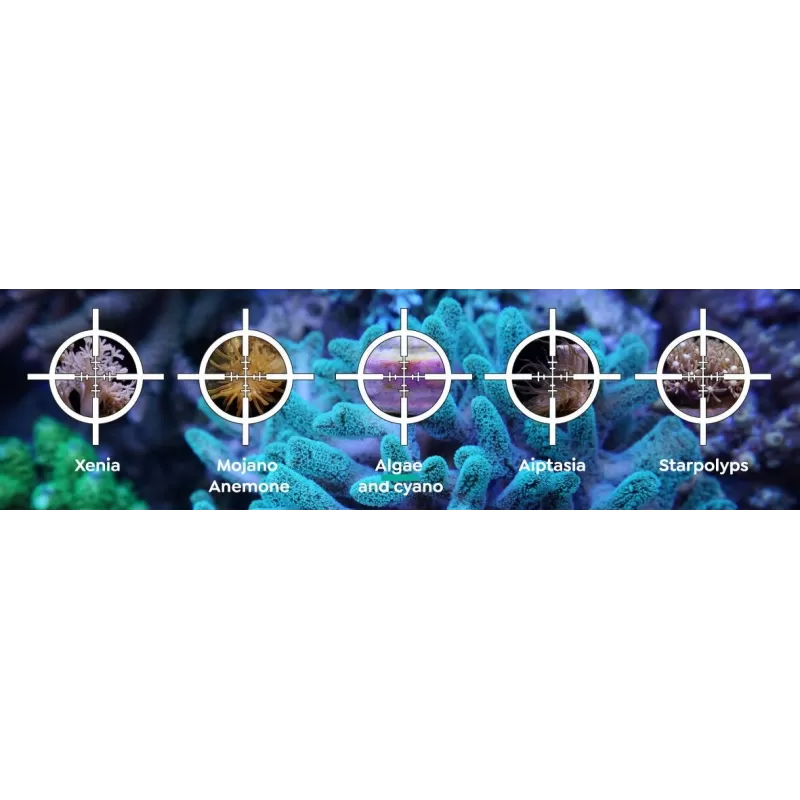 ITC Reef Delete UV C Pest Control Light