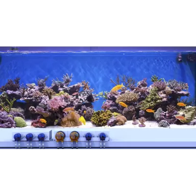 Reef Factory Dosing Pump Pro