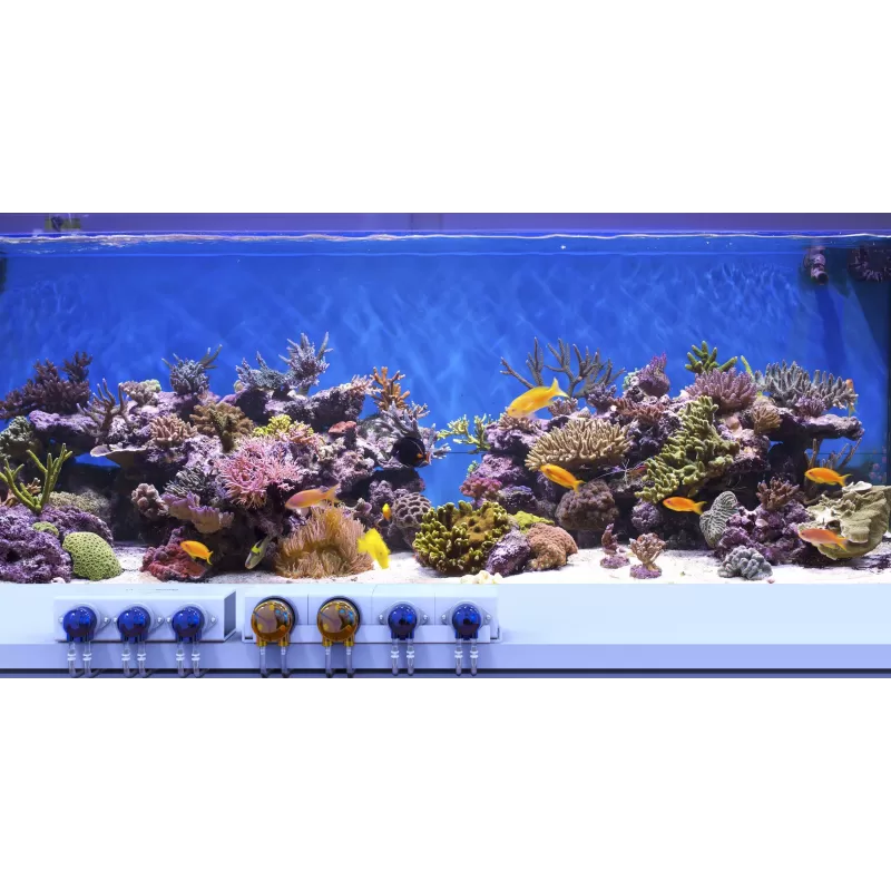 Reef Factory Dosing Pump Pro