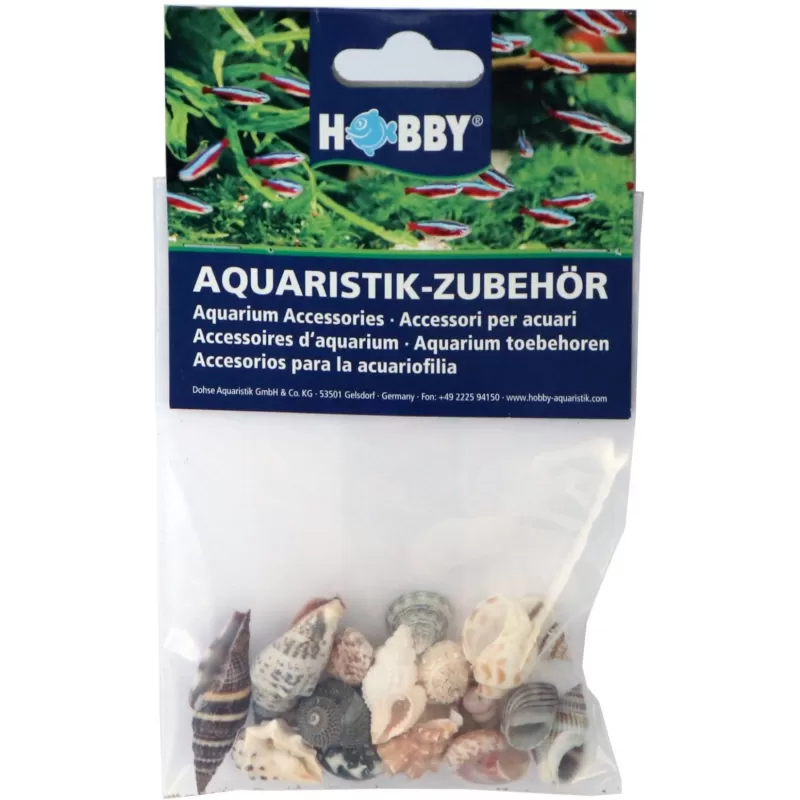 Hobby decoratie sea shells set S 20 stuks Hobby decoratie sea shells set S 20 stuks