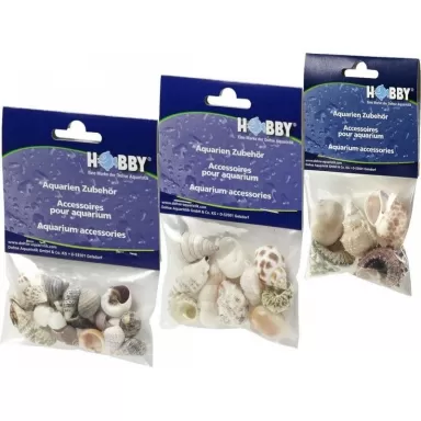 Hobby decoratie sea shells set S 20 stuks