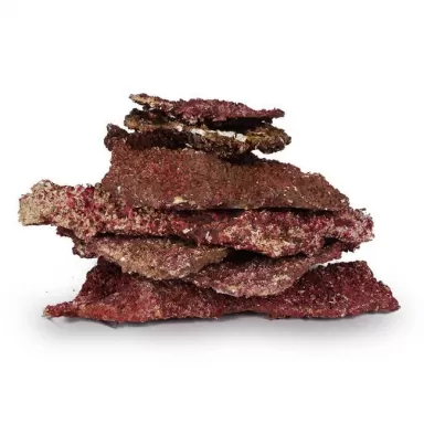 Real Reef Rock - Shelf Rock - prijs per kilo