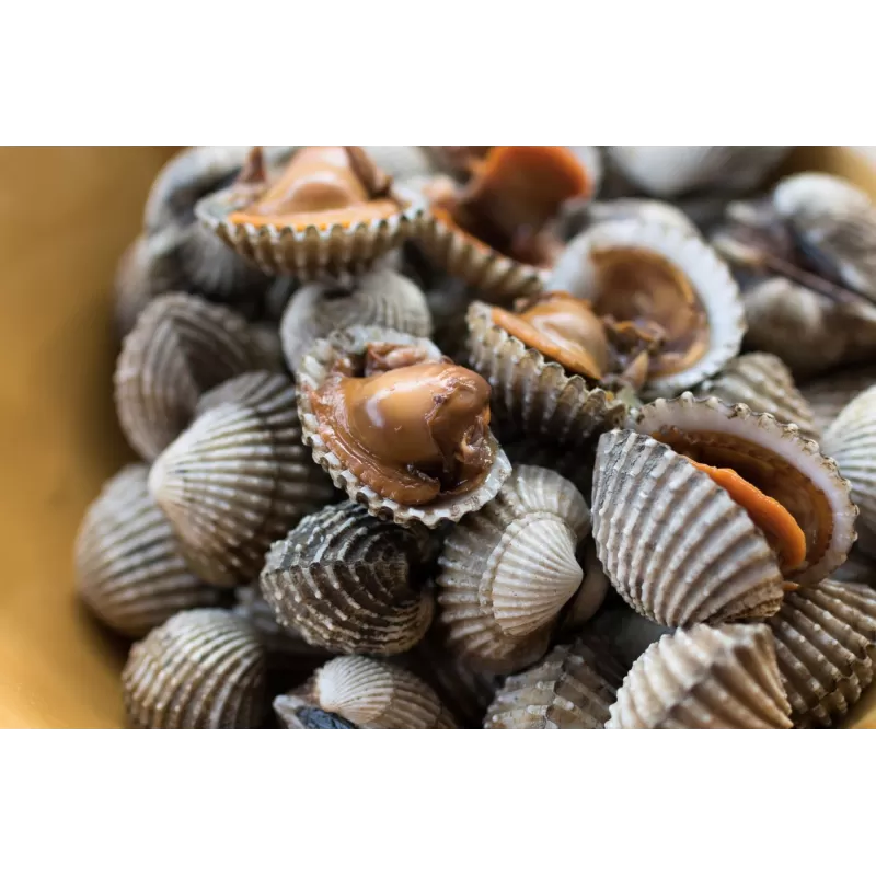 Ocean nutrition whole cockle 100g