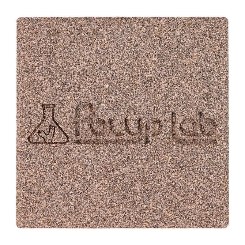Polylab Genesis Rock Pack of 2
