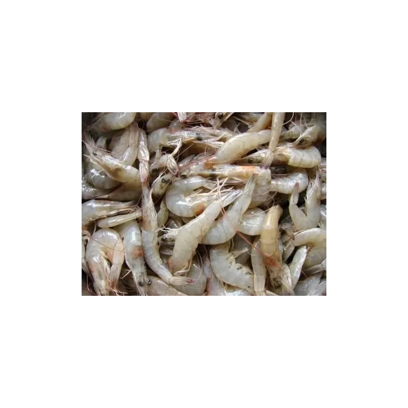 Shrimpfood Rauwe garnalen 1000 gram