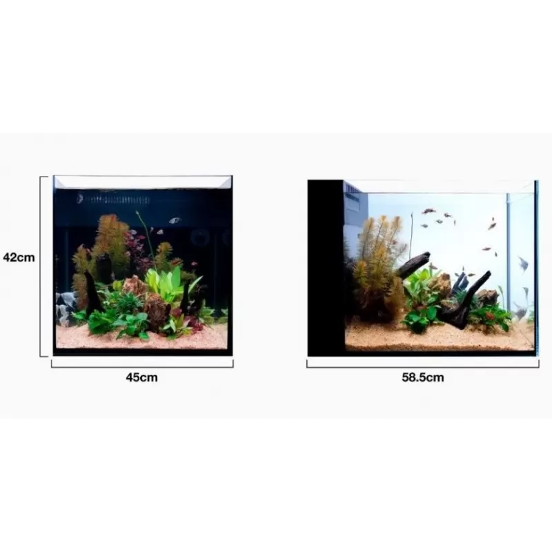 Red sea Desktop Peninsula tank