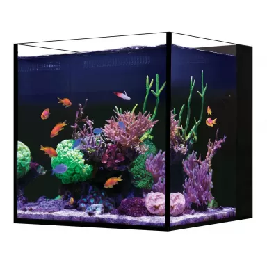 Red Sea Desktop Cube tank