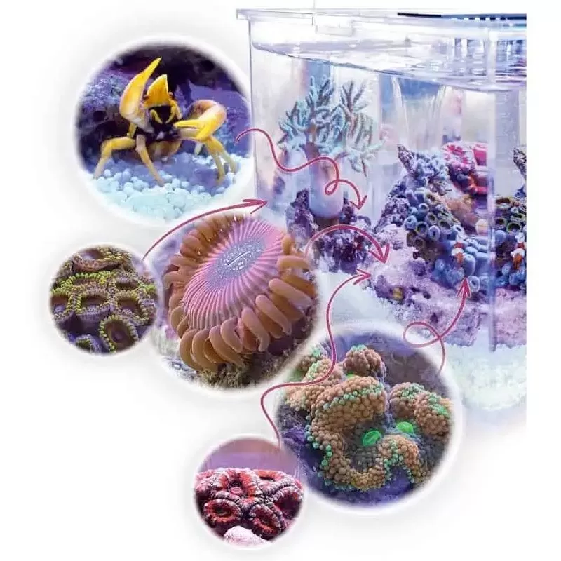 Aqua medic armatus XS