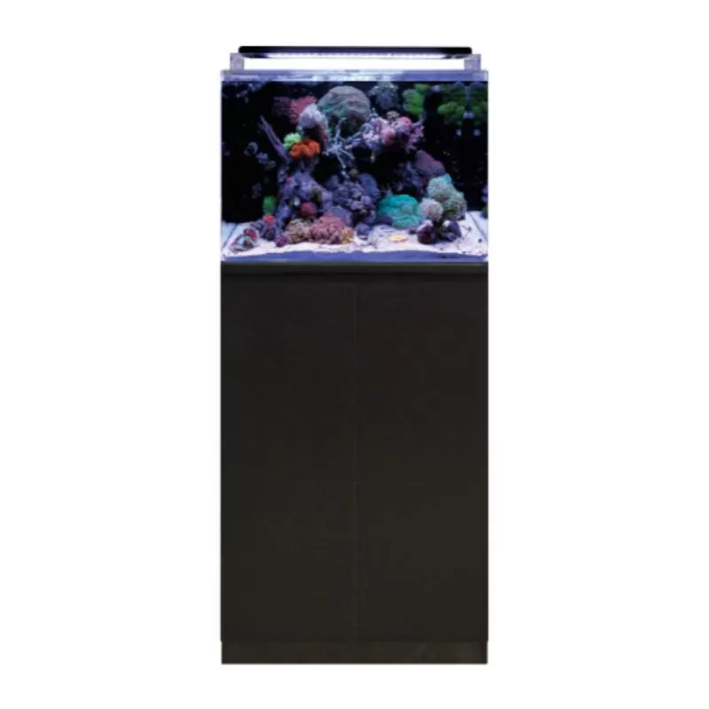 Blue marine reef 120 aquarium